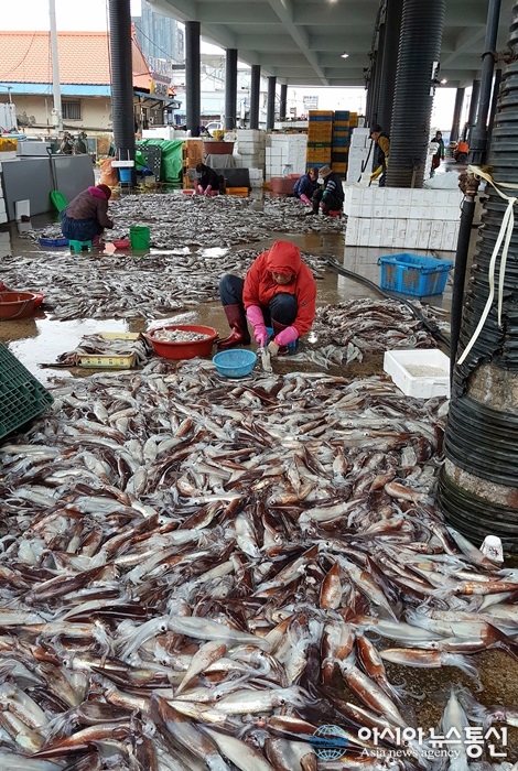 울진 죽변항 오징어의 사회경제사
