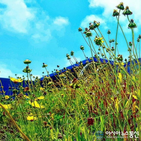 [제주미술, 공간에서 길을 묻다(6) -안도다다오] 유민미술관, 문화 공간인가 관광지 사설 박물관인가?