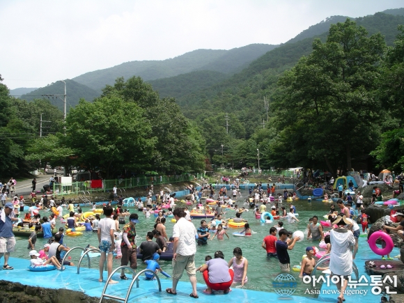 보령 성주산자연휴양림에서 산림테라피를!