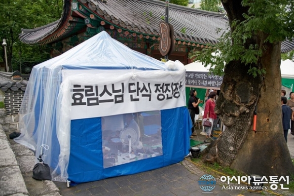세종시 경원사 효림 주지스님은 조계사서 단식 정진중