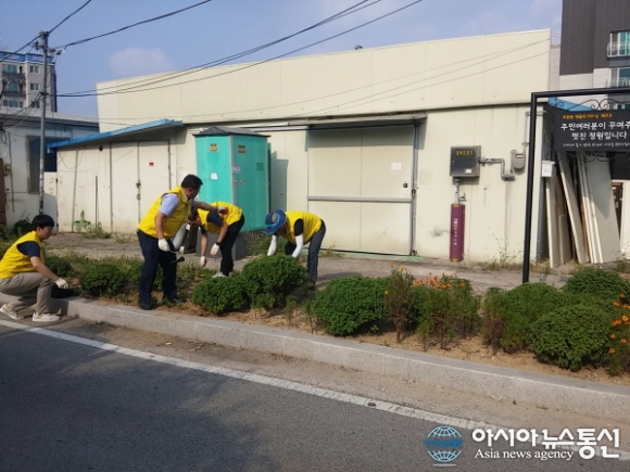 의정부시 호원권역, 게릴라 가드닝 환경정비 완료