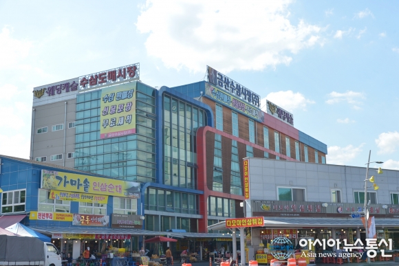2017 금산세계인삼엑스포 개막, 32일 대장정 들어가