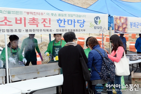 봉화군 한약우 계란 역시 최고의 맛...시식회