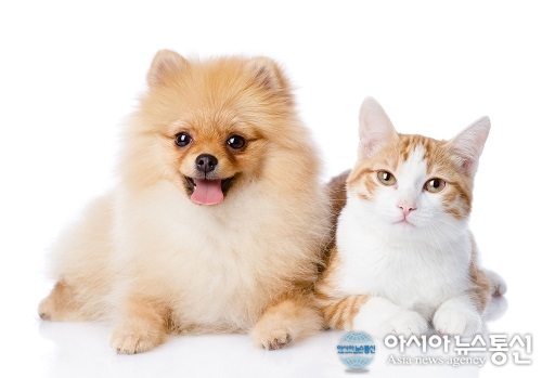 한국장학진흥원, 반려동물관리사 자격증 무료 교육서비스 제공 이벤트 진행