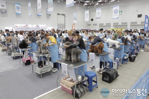 멍이랑 양이랑 함께…대구펫쇼 18일 개막