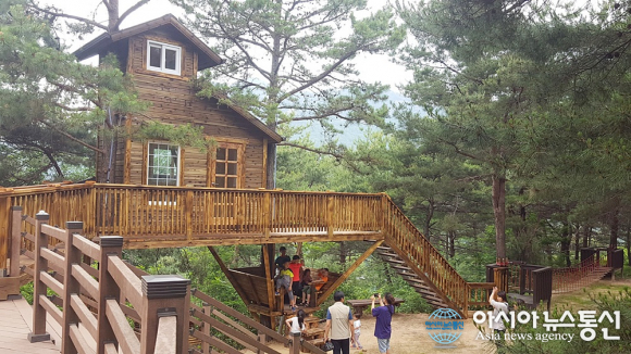 상주한방산업단지, 성주봉 힐링센터 트리하우스 8일 오픈