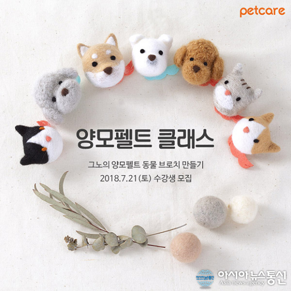 펫케어, ‘그랜파피 워크룸’ 7월 3주차 ‘양모 펠트 클래스’ 수강자 모집