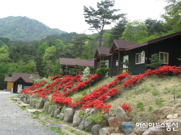 합천의 명품 유원지 오도산 자연휴양림