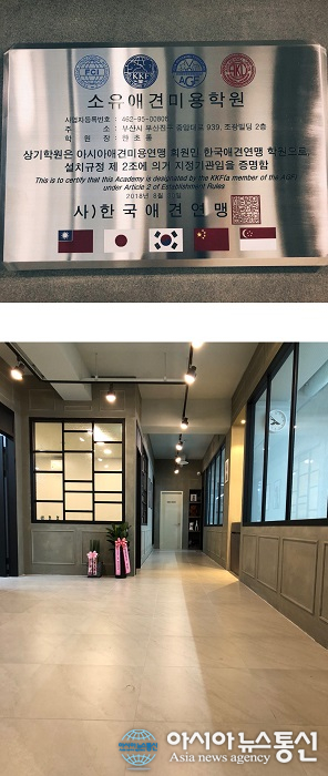 소유애견미용학원, 최첨단시설 갖춘김해, 창원, 양산, 울산에서 인기많은 학원 부산강아지미용학원 소유 그랜드오픈