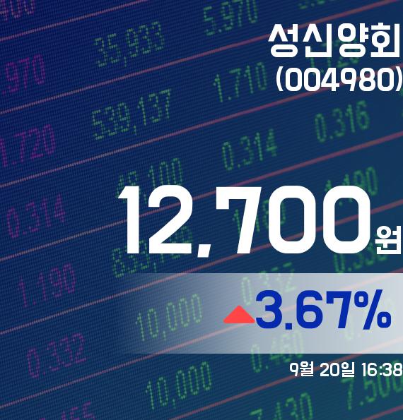 성신양회주가 12,700원으로 종료