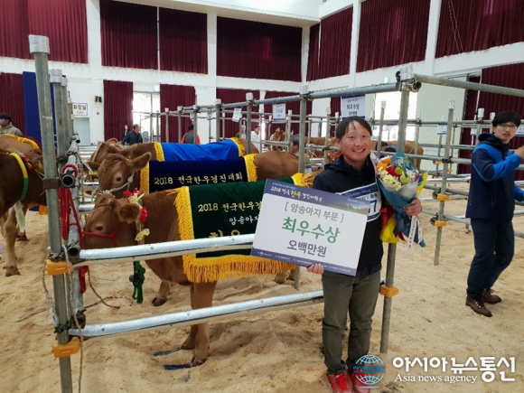 영동 양강 박정운씨, 전국한우경진대회 암송아지부문 최우수상 수상