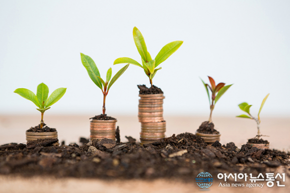 예산군, ㈜삼일엘텍 등 5개사 274억원 투자 유치