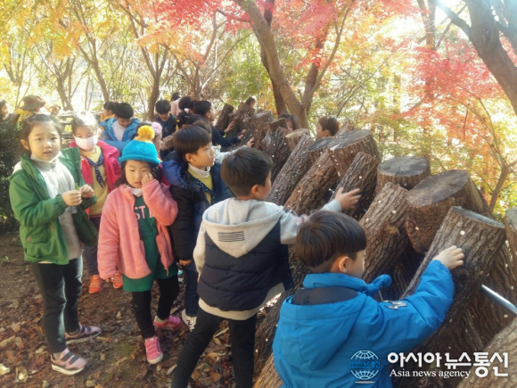 해남 가학산자연휴양림 유아숲체험원 등록