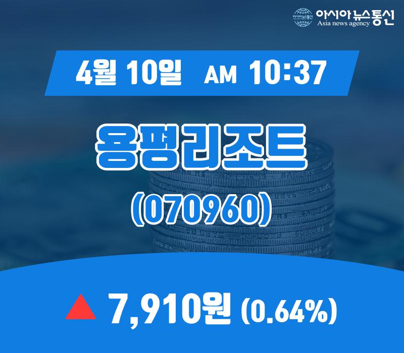 (종목상세정보) 10일 용평리조트 현재가 7,910원