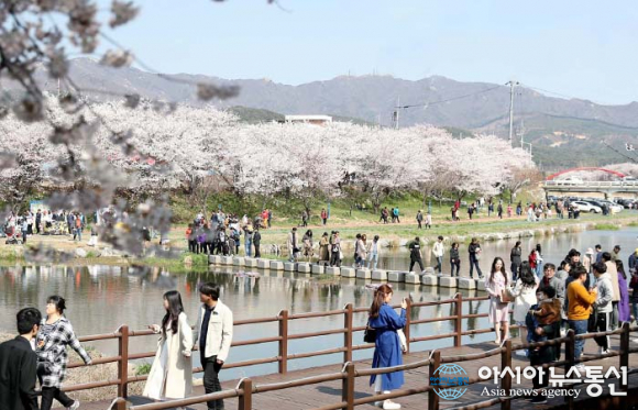 해미벚꽃축제