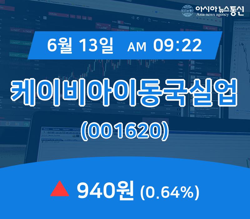 (종목상세정보) 13일 케이비아이동국실업 현재주가 940원