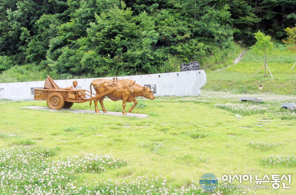 來世에서 다시 만난 워낭소리 가족