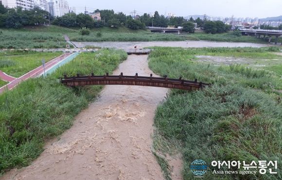 (포토)흙탕물로 변한 청주 영운천과 무심천 합수부