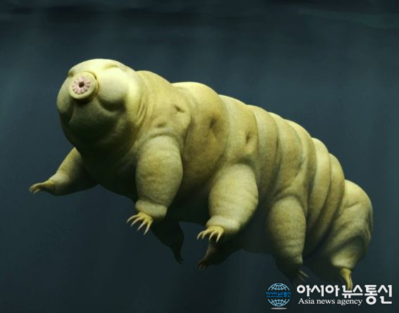 물곰 뭐길래? ‘죽지 않는 생명체’ 우주에서 가장 긴 생명력 가져…죽지 않는 비결은? ‘화제’’
