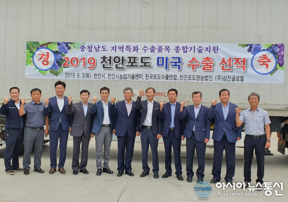 충남 천안 하늘그린 거봉포도, 호주로! 세계로! 수출확대