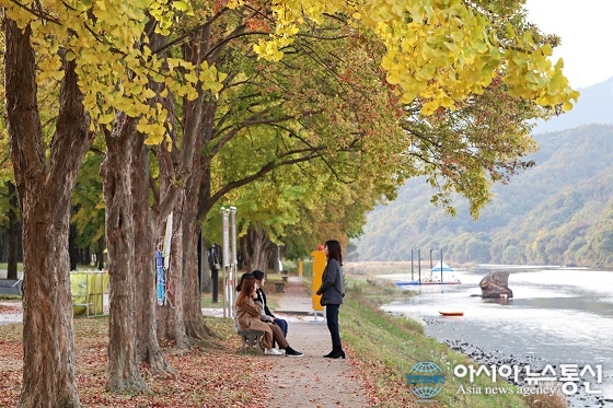 가을 향기 진하게 물들어가는 충북 영동 송호관광지 유혹