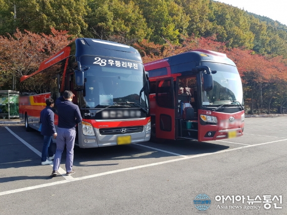 포항시, 행락철 사업용자동차 노상교통안전점검 실시
