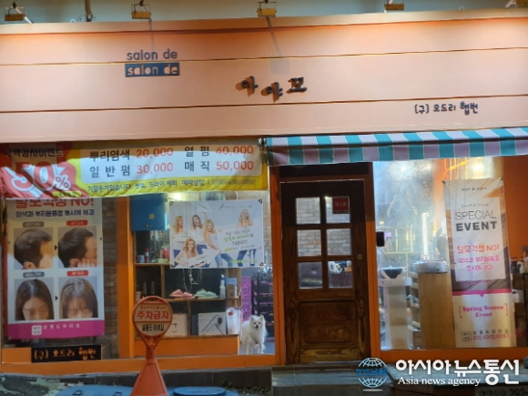 부산 1인미용실  ‘살롱드아야꼬’, 리모델링 3주년 특별 이벤트 고객감사 50% 파격할인