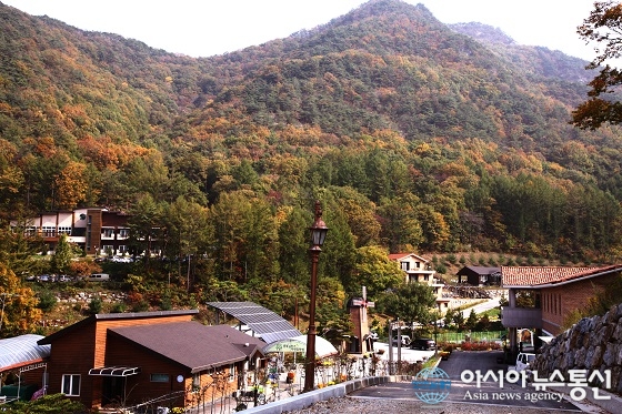 ‘보은 속리산 관광의 옛 명성’ 되찾을 날 머지않았다