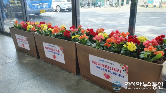 대구 시내버스 승강장에 시민희망 화분 설치