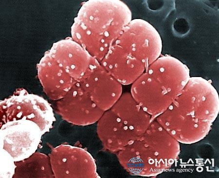 주식회사 메디앤리서치, 한국원자력연구원과 바이오 화장품 소재 공동 개발
