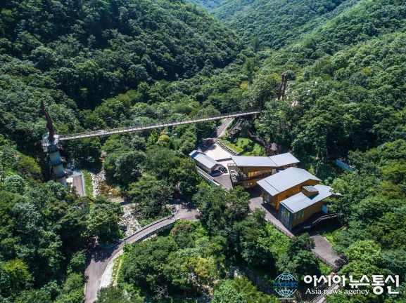 금산산림문화타운