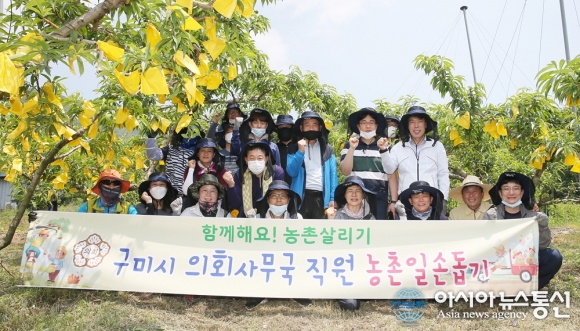 [아통 포토] 구미시의회 사무국 직원 농촌 일손돕기