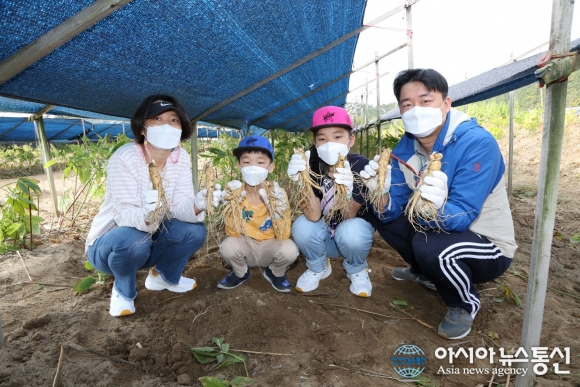우리가족 건강 지킴이는 금산인삼