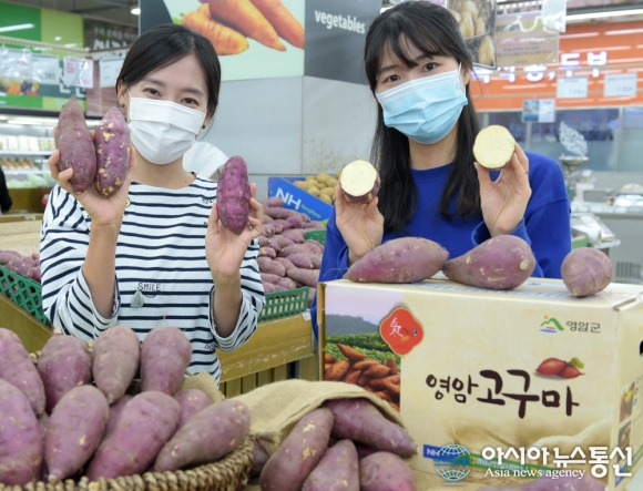 농협유통 하나로마트 스테디셀러 전남 영암 황토 고구마를 소개합니다