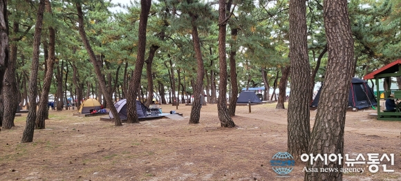 솔향기 가득한 캠핑장…연곡해변도 가까워요~