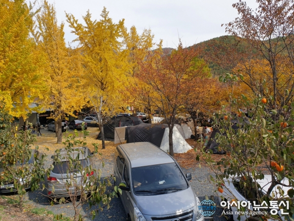 코로나19 특수 누리는 청도 캠핑장