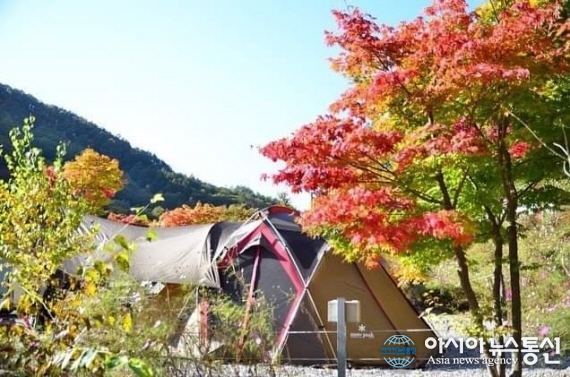 ‘자연 속에서 힐링을’…제천 행복한나드리캠핑장의 가을