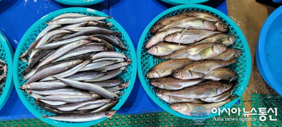 제철생선이 가득 있는 여기는 어디?