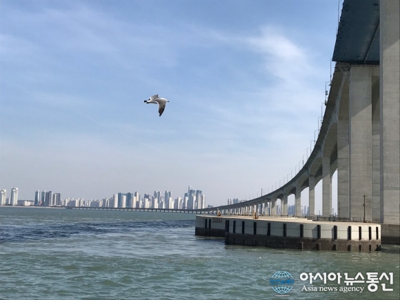 [아통포토] 자연과 사람과 동물이 공존하는 인천 앞바다