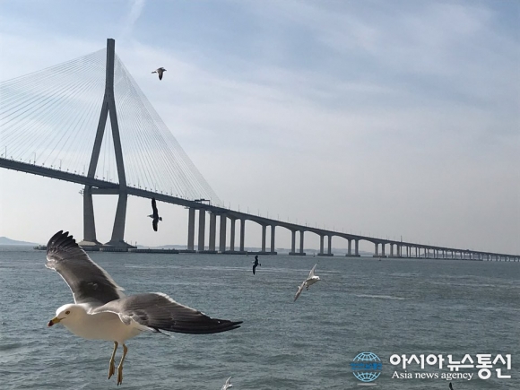 [아통포토] 인천 앞바다를 감상하는 갈매기