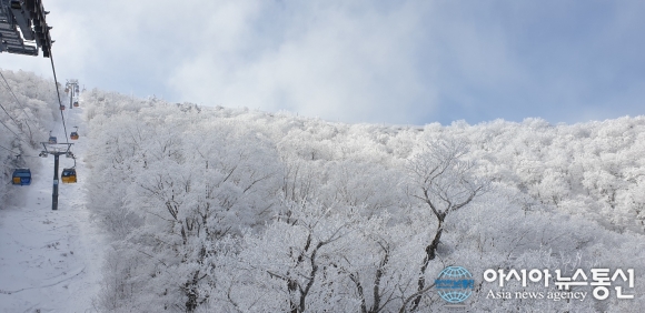 [아통포토] 태백산맥 줄기따라…