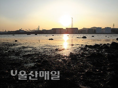 사람들 하나 둘 떠난 자리, 새들은 둥지를 틀고… 은빛 억새 휘날리는 호젓한 숲길따라 겨울이 오네