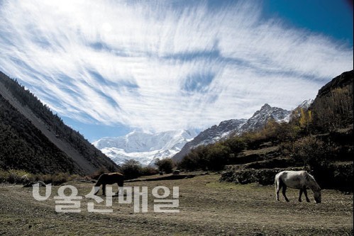 티벳 출사여행기 사람… 건축물… 대자연… 만물이 신비로운 불교의 성지