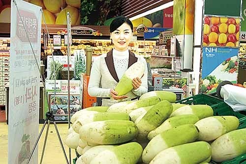 농업인-소비자 상생 한마당 채소류 30여종 20∼30% 할인