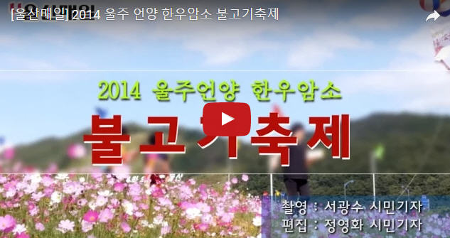 [영상뉴스] 언양 한우암소불고기축제 구름 인파