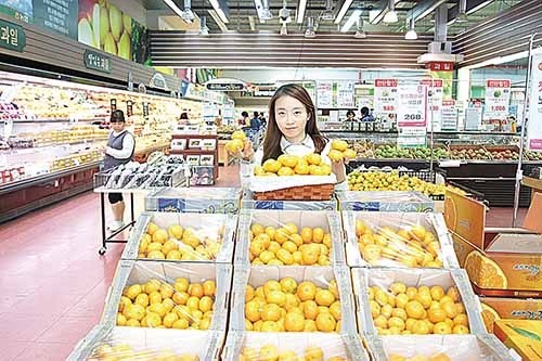 서귀포 노지감귤 첫 출하 기념농협 울산유통센터 할인 판매