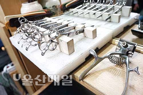 장인정신 깃든 가위질… 손님 스타일 고민할 때 가장 행복