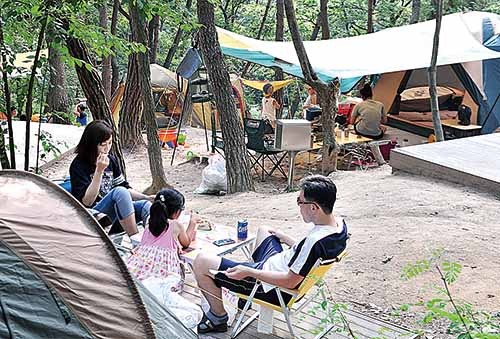 중구 입화산 참살이숲 야영장, 캠핑족에 인기9월까지 이용객 4만명 넘었다