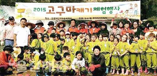 농소1동주민자치위원회, 어린이집 4곳과 고구마캐기 체험행사