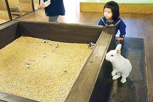 [울산의 다양한 이색카페 나들이]茶 마시고 피로 풀고 스릴 넘치는 게임까지… 카페, 어디까지 가봤니?